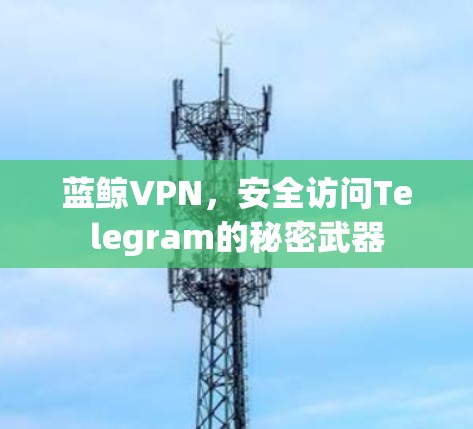 蓝鲸VPN，安全访问Telegram的秘密武器