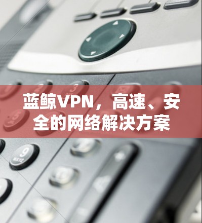 蓝鲸VPN，高速、安全的网络解决方案