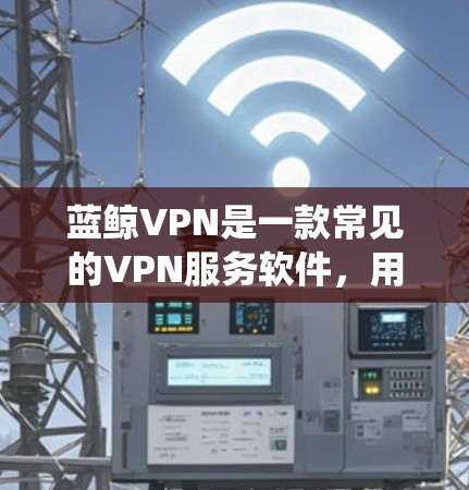 蓝鲸VPN是一款常见的VPN服务软件，用户可能使用它来实现科学上网，绕过网络限制，访问被屏蔽的网站或内容。以下是一些关于蓝鲸VPN的详细信息和建议