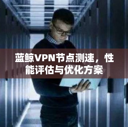 蓝鲸VPN节点测速，性能评估与优化方案
