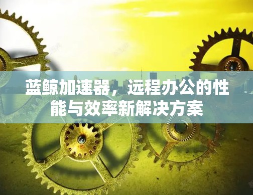 蓝鲸加速器，远程办公的性能与效率新解决方案