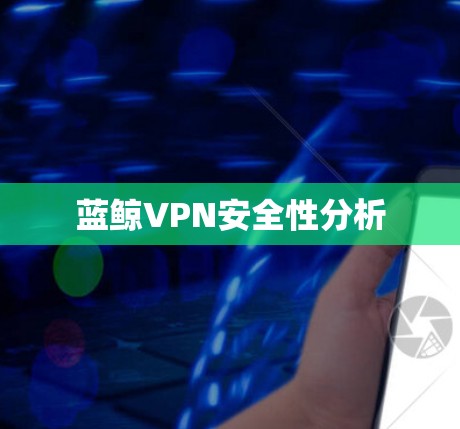 蓝鲸VPN安全性分析