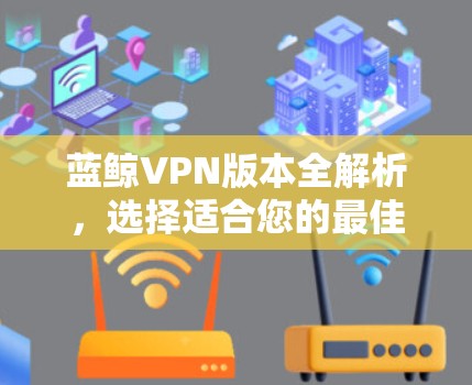 蓝鲸VPN版本全解析，选择适合您的最佳方案