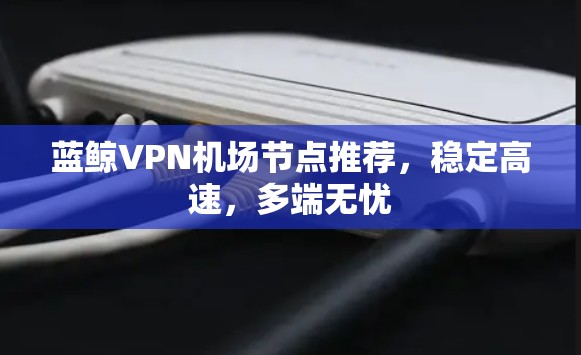 蓝鲸VPN机场节点推荐，稳定高速，多端无忧