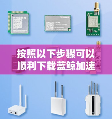 按照以下步骤可以顺利下载蓝鲸加速器