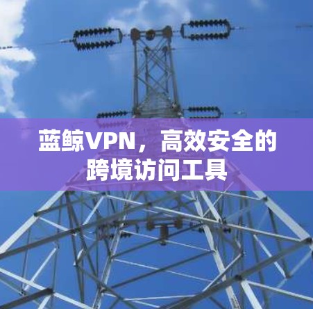 蓝鲸VPN，高效安全的跨境访问工具