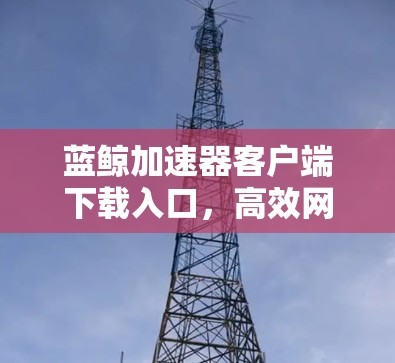 蓝鲸加速器客户端下载入口，高效网络性能解决方案