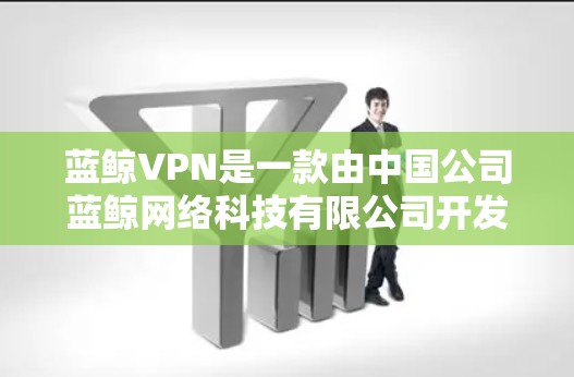 蓝鲸VPN是一款由中国公司蓝鲸网络科技有限公司开发的VPN服务产品，主要用于提供安全、稳定、高效的网络访问服务。如果你正在寻找蓝鲸VPN的节点线路推荐，以下是一些常见的使用场景和推荐线路