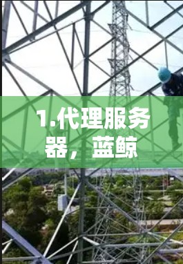 1.代理服务器，蓝鲸翻墙加速器使用代理服务器接收用户的请求，转发到互联网上的真实服务器，从而获取所需内容