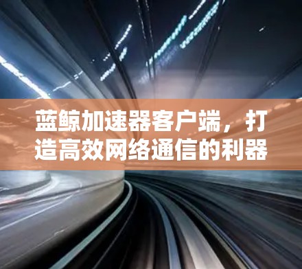 蓝鲸加速器客户端，打造高效网络通信的利器