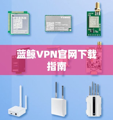 蓝鲸VPN官网下载指南