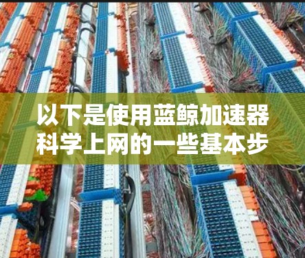 以下是使用蓝鲸加速器科学上网的一些基本步骤和注意事项
