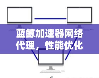 蓝鲸加速器网络代理，性能优化与关键技术探讨