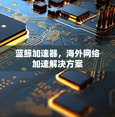 蓝鲸加速器，海外网络加速解决方案