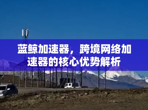蓝鲸加速器，跨境网络加速器的核心优势解析