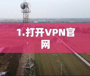 1.打开VPN官网