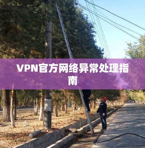 VPN官方网络异常处理指南